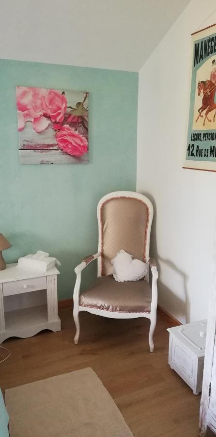 Chambre D'Hote En Vallee Du Loir - Elevage Des Rosiers 巴祖尔绪-勒鲁瓦尔 外观 照片
