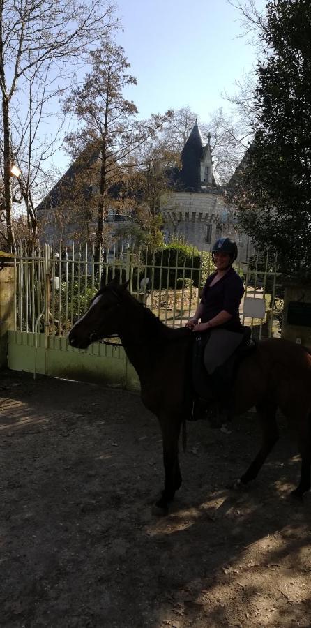 Chambre D'Hote En Vallee Du Loir - Elevage Des Rosiers 巴祖尔绪-勒鲁瓦尔 外观 照片