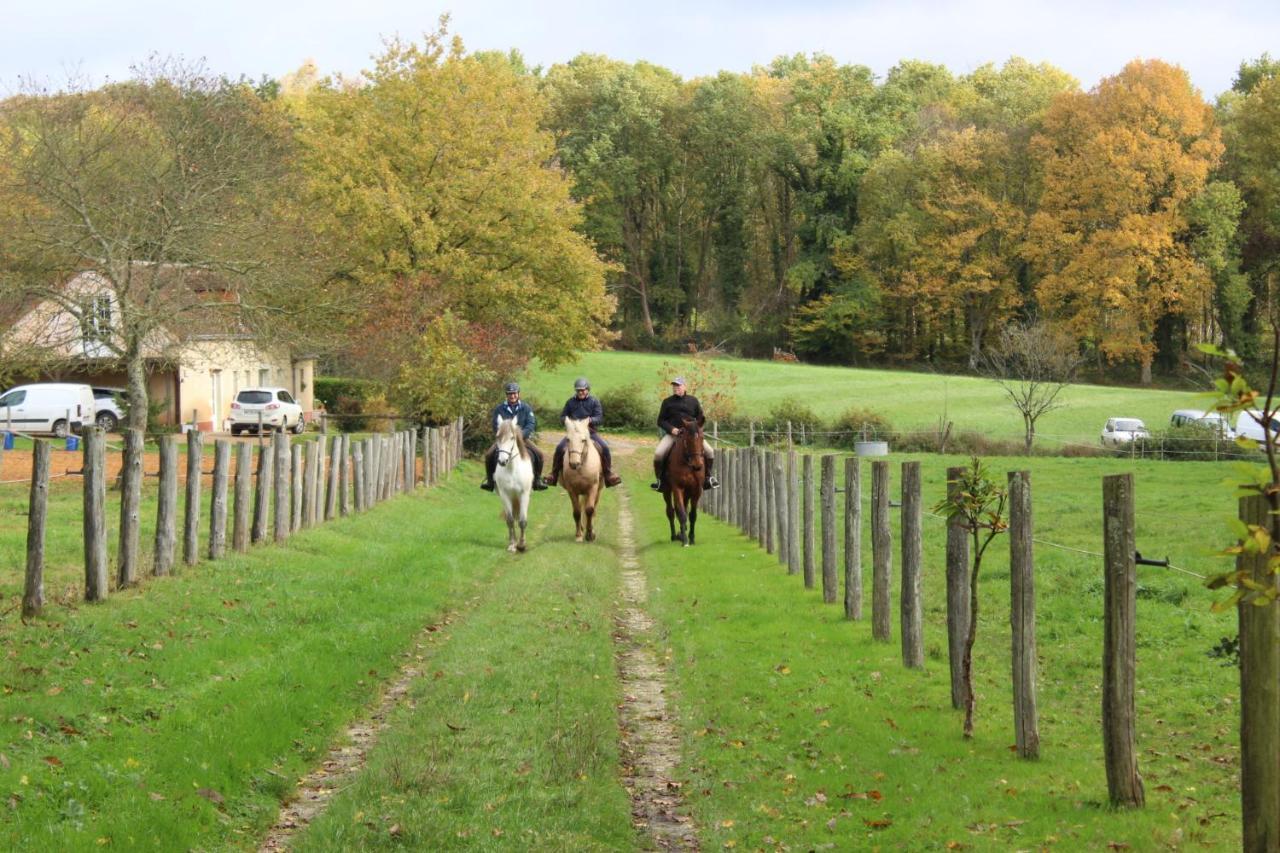 Chambre D'Hote En Vallee Du Loir - Elevage Des Rosiers 巴祖尔绪-勒鲁瓦尔 外观 照片